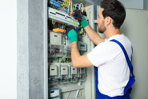 Best Electric Panel Repair  in Oshkosh, WI